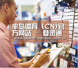 研发能力标题三