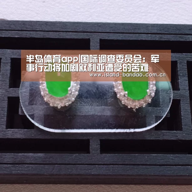 半岛体育app|国际调查委员会:军事行动将加剧叙利亚遭受的苦难(图4) 半岛体育app