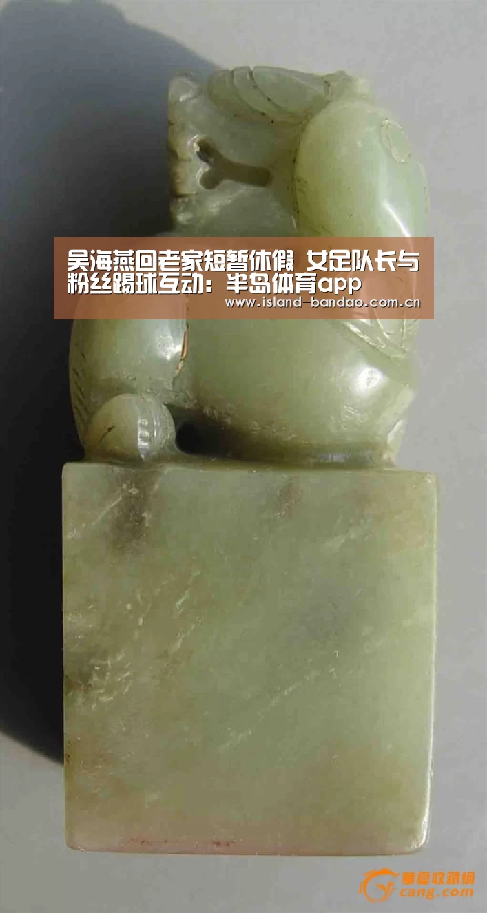 半岛体育app